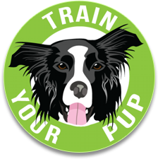 Train Your Pup